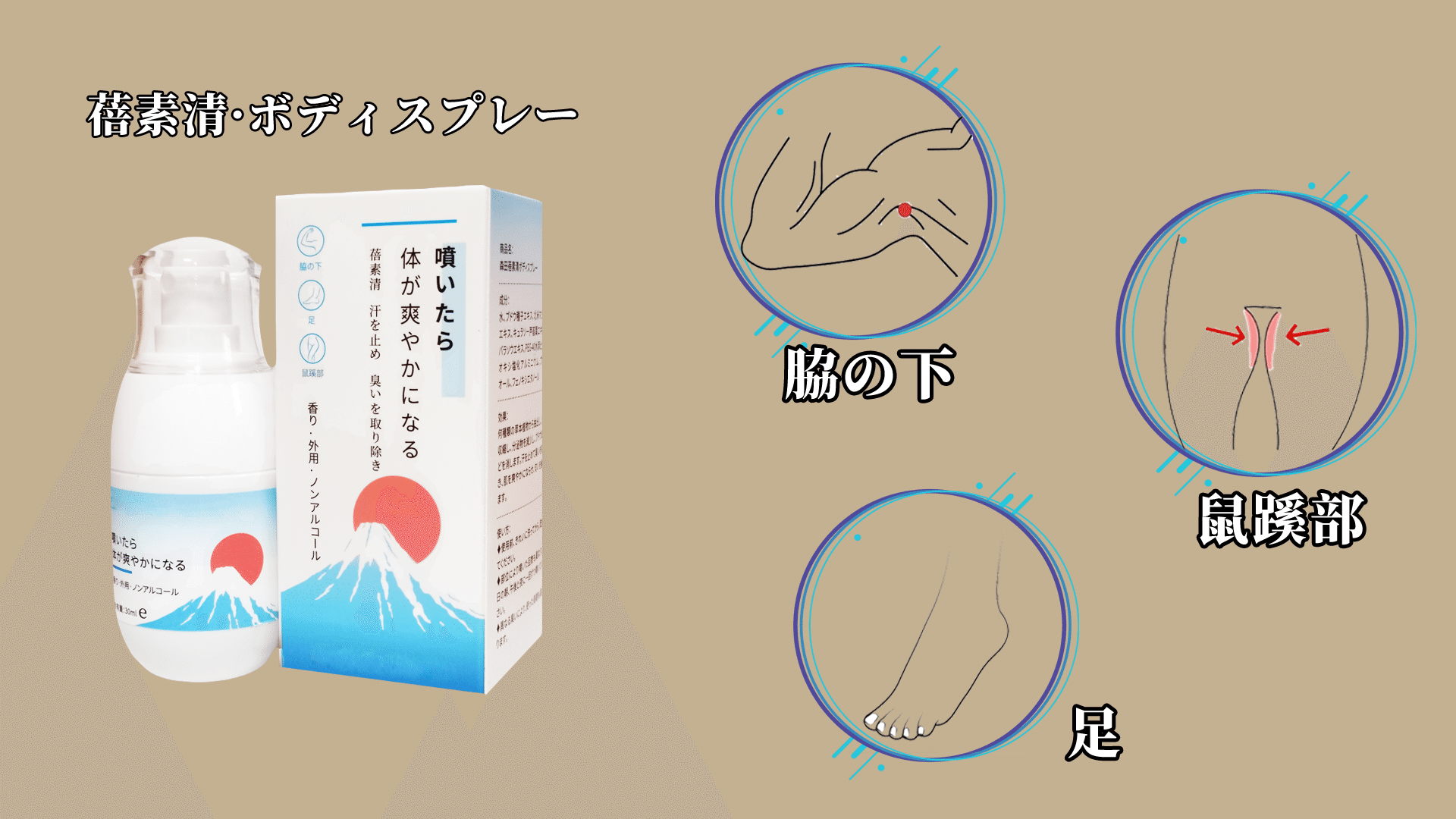 Brand Introduction-Header Banner-003