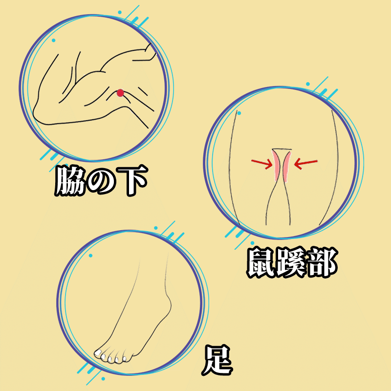 Brand Introduction-Middle illustration-006